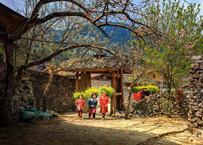 Vietnamese minority children