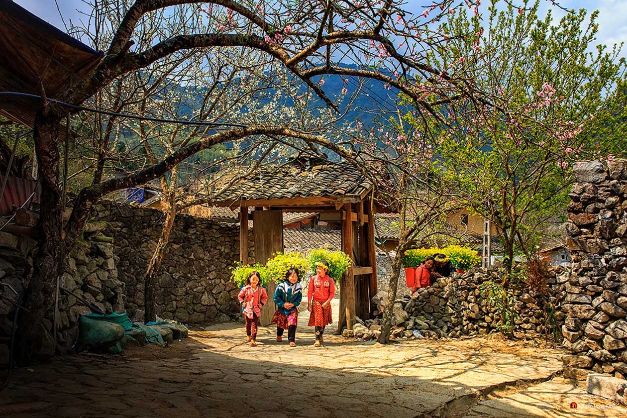 Vietnamese minority children