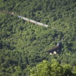 Vietnam Train