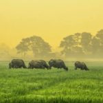 Vietnam Itinerary Suggestions