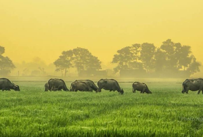 Vietnam Itinerary Suggestions