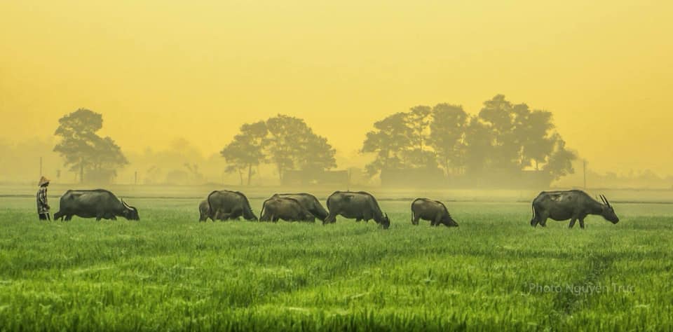 Vietnam Itinerary Suggestions